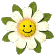 Smiling daisy